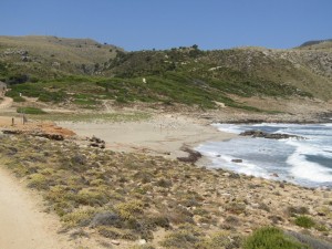 IMG_7460 (Medium)